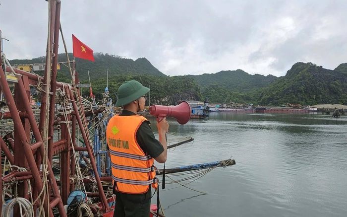 Bộ đội Biên phòng thành phố kêu gọi 35 lao động trên lồng bè và các chòi canh khẩn trương di dời vào bờ tránh bão an toàn.