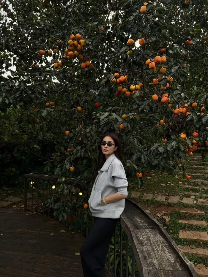 Những hình ảnh đời thường trên mạng xã hội cho thấy Tăng Thanh Hà theo đuổi lối sống lành mạnh, yêu thiên nhiên và dành nhiều thời gian cho các thành viên trong gia đình