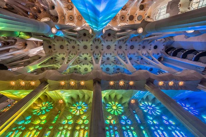 Bên trong Vương cung thánh đường Sagrada Família. Ảnh: SagradaFamillia.org