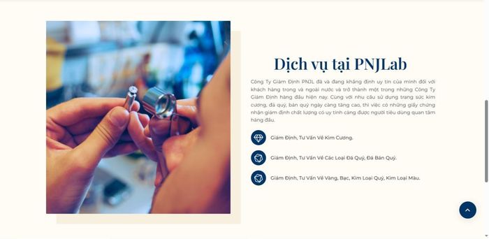 P-Lab được biết đến là một trong những đơn vị cung cấp dịch vụ kiểm định kim cương, đá màu, ngọc trai và trang sức tại Việt Nam. Ảnh: P-Lab