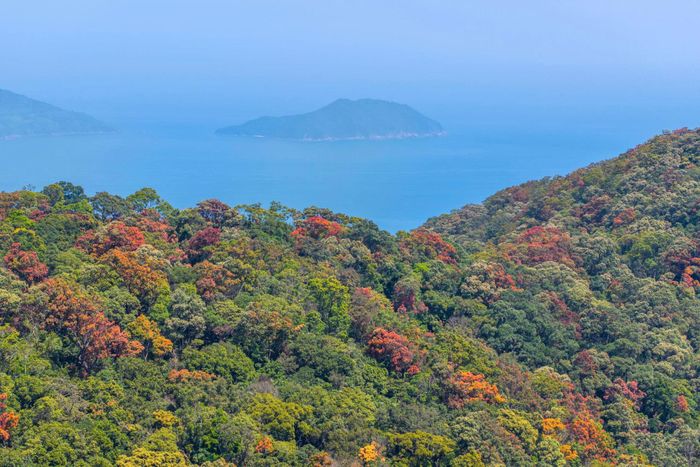 Từ nguồn xuống biển. Ảnh: PHẠM PHÙNG