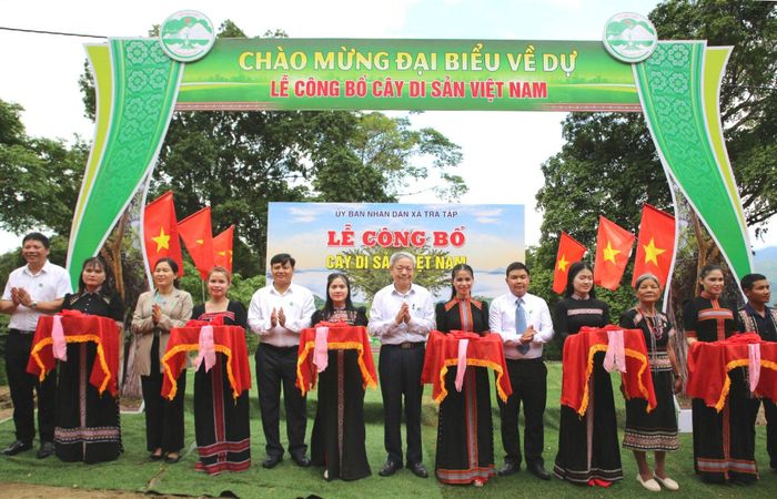 Đại diện Hội Bảo vệ thiên nhiên và môi trường Việt Nam cùng lãnh đạo xã Trà Tập cắt băng công bố Cây di sản Việt Nam. Ảnh: ALĂNG NGƯỚC
