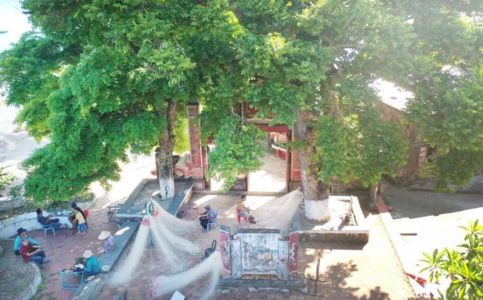 Hai cây kén và nánh trong khuôn viên miếu Tổ nghề yến. Ảnh: Hồng Việt