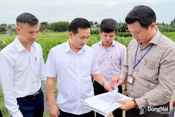Chủ tịch UBND phường Trảng Dài Lê Kim Hường (thứ 2, từ trái qua) cùng cán bộ hạ tầng đô thị phường khảo sát khu đất tại phu phố 3A, vị trí được giới thiệu xây dựng trường THPT công lập. Ảnh: Công Nghĩa