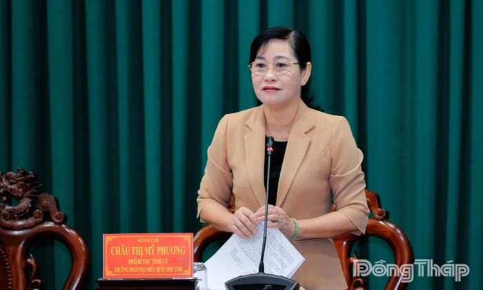 Đồng chí Châu Thị Mỹ Phương, Phó Bí thư Tỉnh ủy, Trưởng đoàn Đại biểu Quốc hội tỉnh Đồng Tháp, điều hành thảo luận của các cơ quan, đơn vị, địa phương.