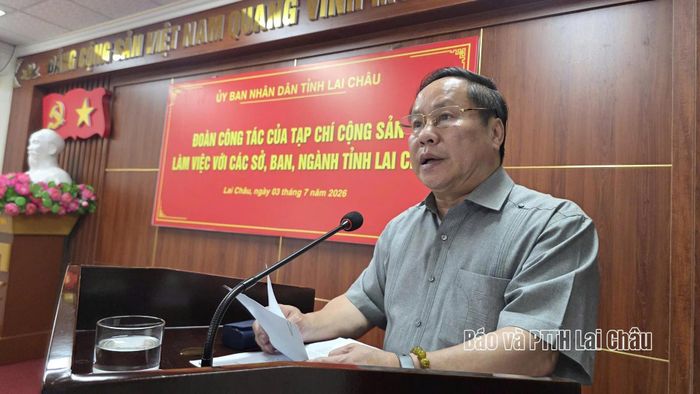 Đồng chí Tống Thanh Hải - Ủy viên Ban Thường vụ Tỉnh ủy, Phó Chủ tịch Thường trực UBND tỉnh phát biểu tại buổi làm việc.