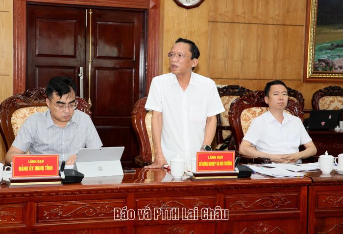Lãnh đạo Sở Nông nghiệp và Môi trường phát biểu ý kiến tại buổi làm việc. 