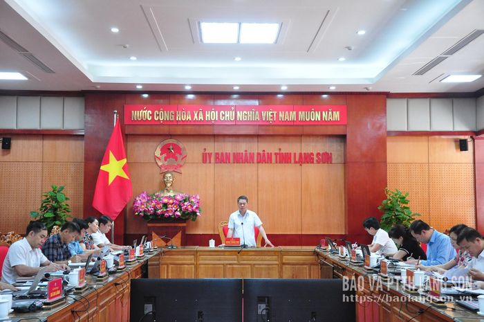 Đồng chí Đoàn Thanh Sơn, Phó Chủ tịch UBND tỉnh, Trưởng BCĐ chuyển đơn vị sự nghiệp công lập thành công ty cổ phần tỉnh phát biểu tại cuộc họp