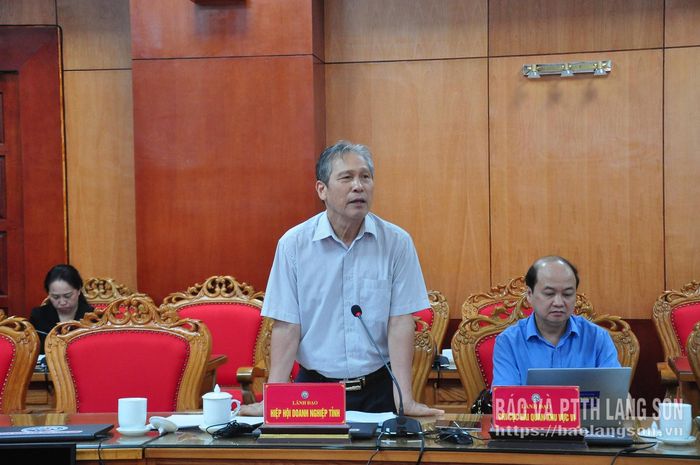 Lãnh đạo Hiệp hội Doanh nghiệp tỉnh nêu ý kiến tại cuộc họp