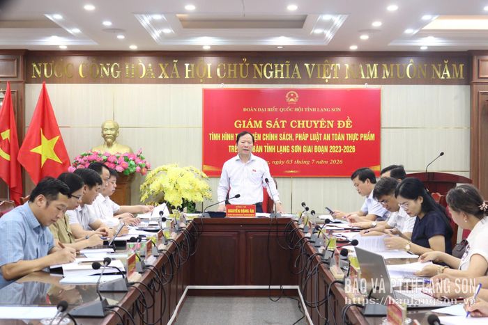 Đồng chí Nguyễn Đặng Ân, Ủy viên Ủy ban Khoa học, Công nghệ và Môi trường của Quốc hội, Phó Trưởng Đoàn chuyên trách Đoàn ĐBQH tỉnh, Trưởng đoàn giám sát phát biểu kết luận