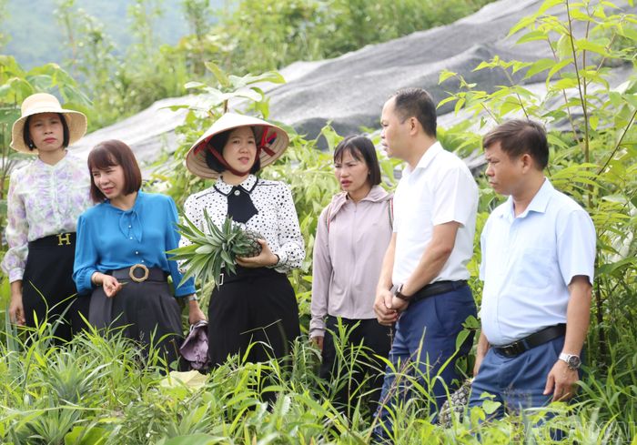 Lãnh đạo Sở Khoa học và Công nghệ trao đổi với lãnh đạo địa phương và người dân tham gia mô hình trồng dứa thử nghiệm.