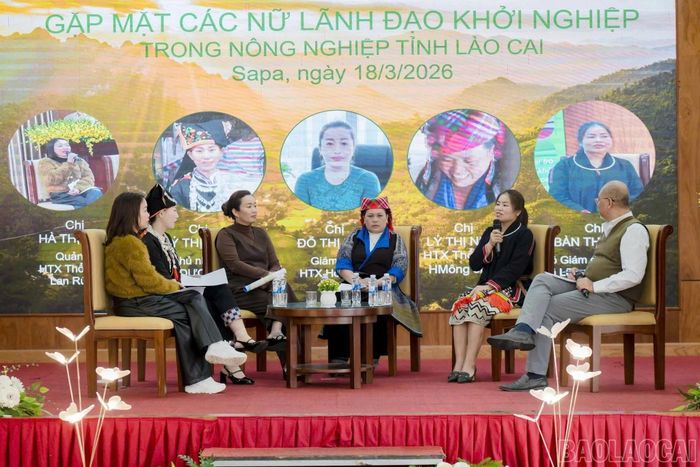 Hội Liên hiệp Phụ nữ tỉnh tổ chức gặp mặt các nữ lãnh đạo khởi nghiệp trong nông nghiệp.