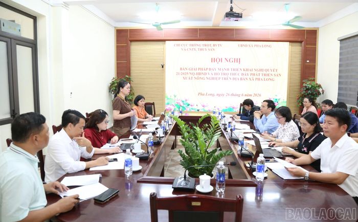 Quang cảnh buổi làm việc giữa lãnh đạo Chi cục Trồng trọt, Bảo vệ thực vật và Chăn nuôi, Thú y, Thủy sản tỉnh với UBND xã Pha Long về định hướng phát triển nông nghiệp.