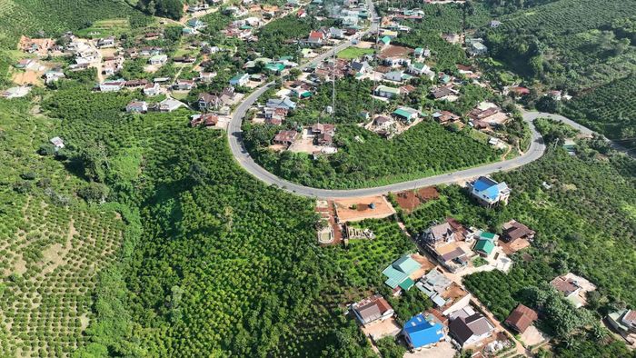 Công tác quản lý, bảo vệ rừng ở Lâm Đồng được tăng cường