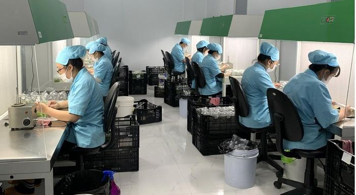 Từng bước làm chủ về bản quyền sản xuất giống cây trồng mang tầm khu vực