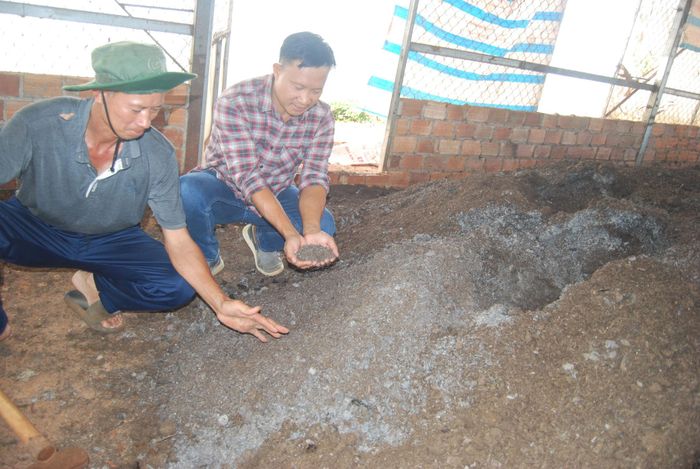 Ứng dụng công nghệ sinh học trong xử lý, tái sử dụng phụ phẩm nông nghiệp