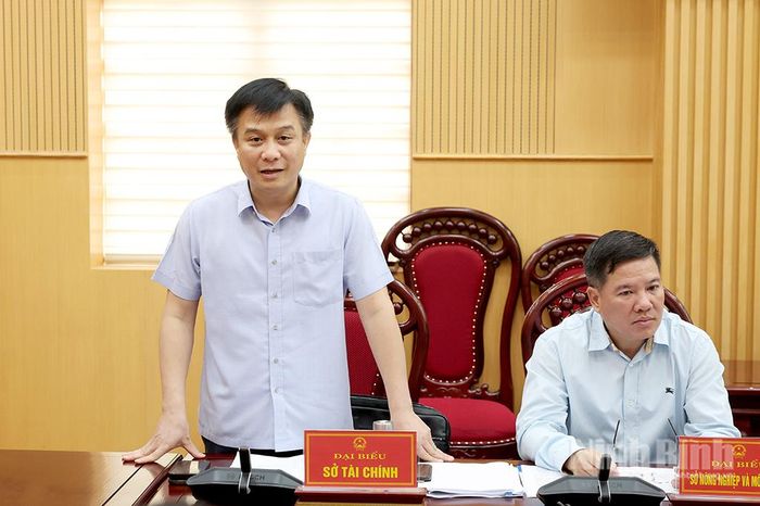 Đại biểu Sở Tài chính phát biểu ý kiến tại hội nghị.