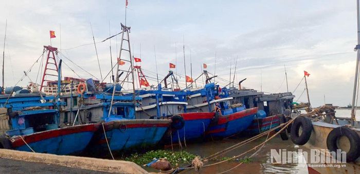 Tàu thuyền của ngư dân neo đậu tại khu vực Hải đội 2, Ban Chỉ huy BĐBP tỉnh để tránh trú bão số 1.