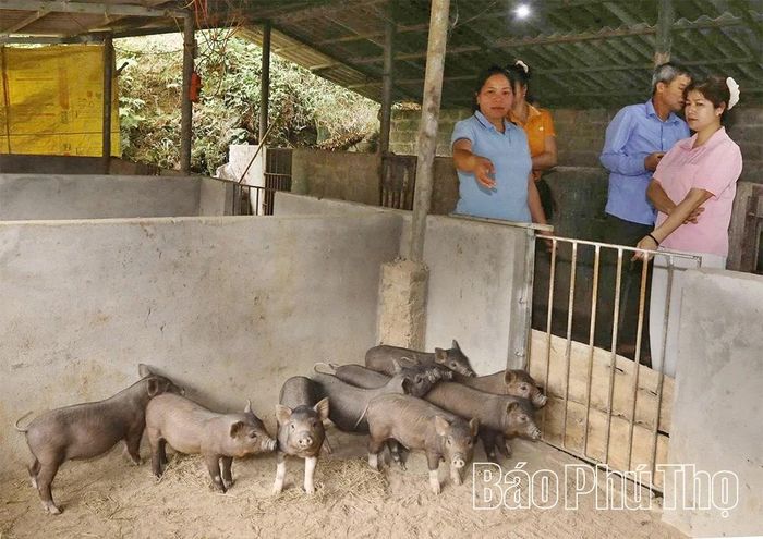Thành viên nhóm sinh kế thăm quan mô hình chăn nuôi lợn nái của gia đình chị Bùi Thị Ngân - Trưởng nhóm sinh kế chăn nuôi Thây Voi.