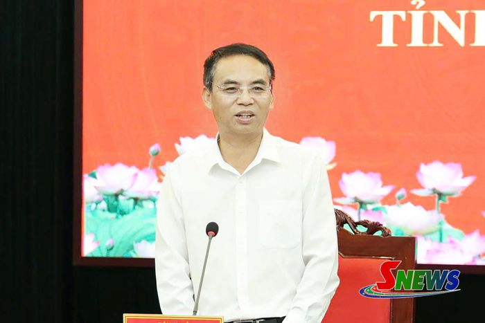 Đồng chí Phó Chủ tịch UBND tỉnh phát biểu kết luận cuộc họp.