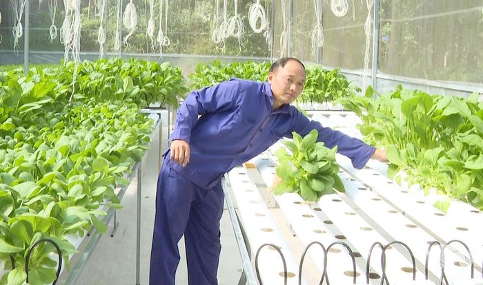 Nhiều hộ dân đã ứng dụng công nghệ vào sản xuất rau đem lại giá trị cao.