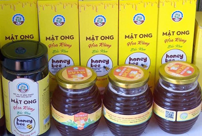 Sản phẩm mật ong rừng hoa rừng được đầu tư về mẫu mã, bao bì và truy suất nguồn gốc.