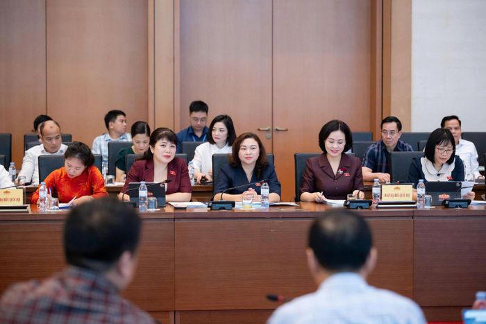 Các ĐBQH tham dự Hội thảo