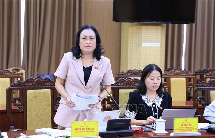 Đại biểu tham gia thảo luận tại buổi làm việc. Ảnh: Hoàng Hải - TTXVN