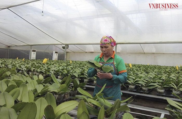 Nghị quyết được kỳ vọng sẽ khơi thông những "điểm nghẽn" kéo dài nhiều năm, tạo không gian phát triển mới cho doanh nghiệp, hợp tác xã (HTX) và toàn bộ nền kinh tế Thủ đô.