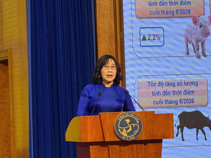 Bà Nguyễn Thị Hương, Cục trưởng Cục Thống kê thông tin tại họp báo.