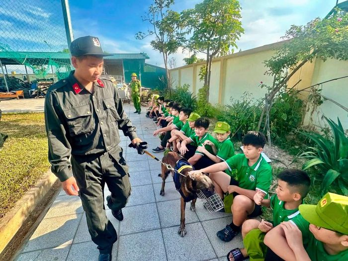 Tại Phòng Cảnh sát Cơ động Công an tỉnh Hà Tĩnh, các chiến sĩ nhí đã có cơ hội gặp gỡ những người đồng đội vô cùng đặc biệt của lực lượng CAND, đó là những chú chó nghiệp vụ.