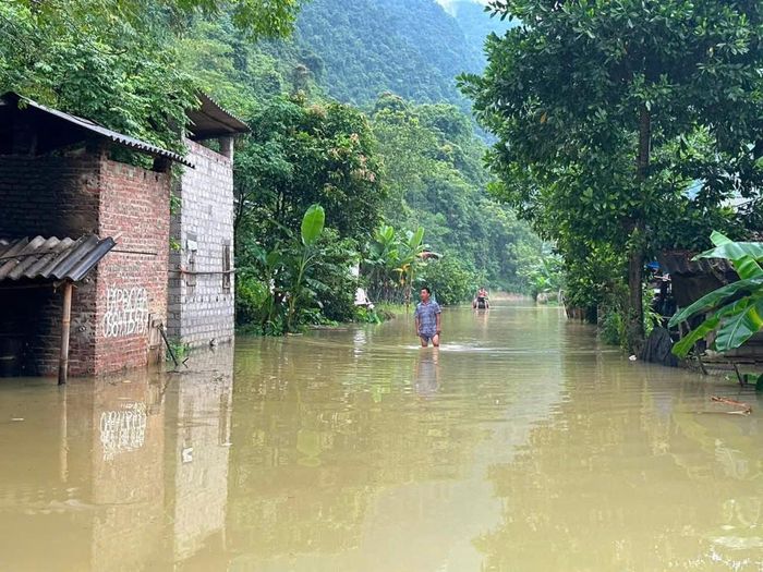 Các cấp, các ngành, địa phương chủ động phòng ngừa ứng phó với mưa bão, bảo vệ tính mạng và tài sản của nhân dân.