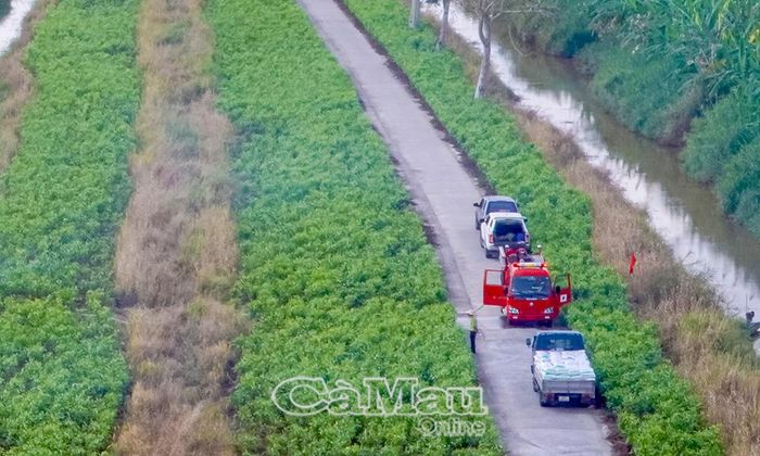 Hạ tầng giao thông trong các khu vực lâm phần từng bước được đầu tư, đáp ứng nhu cầu vận chuyển hàng hoá, nhất là lâm sản sau khai thác, đồng thời phục vụ phát triển du lịch sinh thái, trải nghiệm.