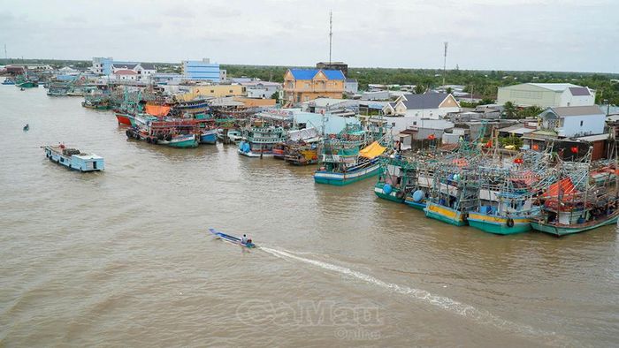 Hàng trăm tàu cá đánh bắt xa bờ đã kịp thời quay về, neo đậu an toàn tại bến sông Sông Đốc dưới sự hướng dẫn của các lực lượng chức năng.