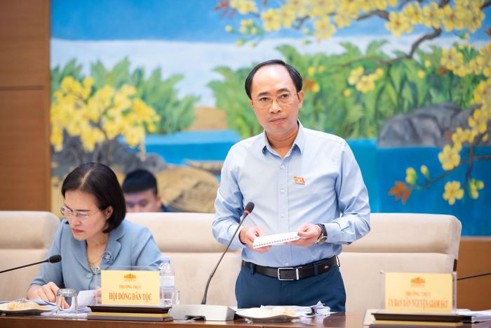 Ủy viên là đại biểu Quốc hội hoạt động chuyên trách tại Hội đồng Dân tộc Lê Nhật Thành phát biểu tại Phiên họp. Ảnh: VPQH