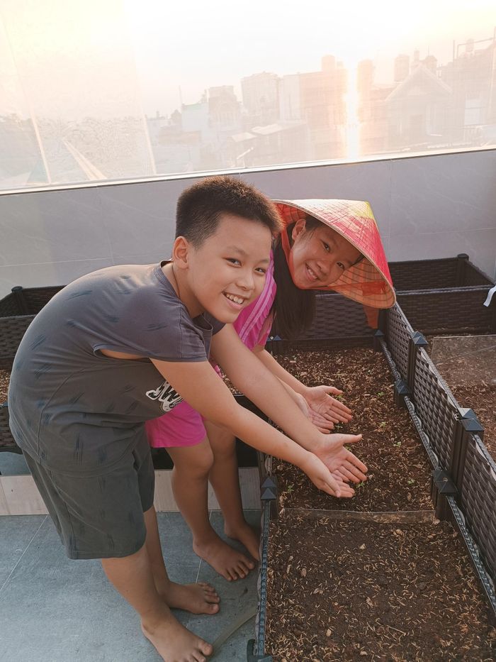 Anh làm đất khá kĩ trước khi trồng lứa rau mới.