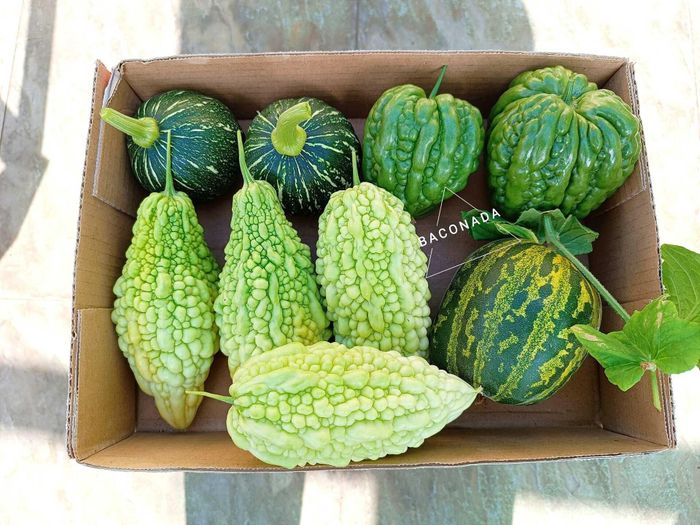 Anh còn tận dụng cả sân thượng công ty.