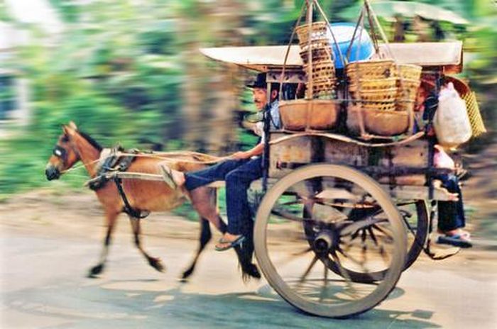 Một trong những chuyến xe thổ mộ cuối cùng của xà ích Trần Văn Tài trên đường Phan Văn Hớn, Bà Điểm năm 1999