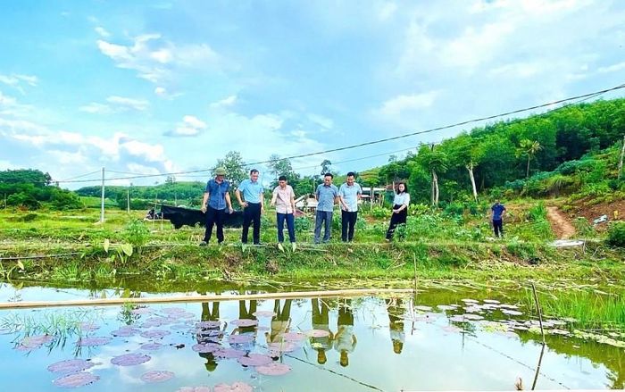 Nhiều hộ dân đã chuyển đổi từ các hình thức nuôi trồng hiệu quả thấp sang nuôi ốc thương phẩm.