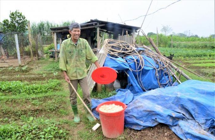  Khu ủ phân hữu cơ của gia đình ông Lại Bá Thân, hộ trồng rau ở tổ 2, phường Tân Hà, Tuyên Quang. Ảnh: Đào Thanh. 