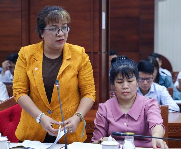 Chủ tịch Hội Văn học Nghệ thuật tỉnh Niê Thanh Mai phát biểu tại cuộc họp.