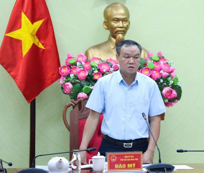 Phó Chủ tịch UBND tỉnh Đào Mỹ phát biểu kết luận cuộc họp.