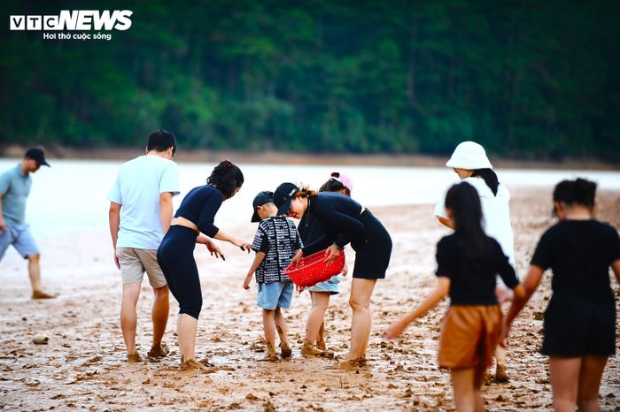Cả gia đình hợp sức “tìm kho báu” dưới lòng hồ.