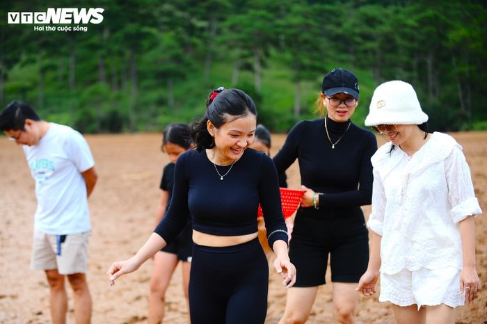 Không những các em nhỏ thích thú, nhiều phụ huynh cũng say sưa đi nhặt ốc cùng các con và trò chuyện với nhiều phụ huynh khác.