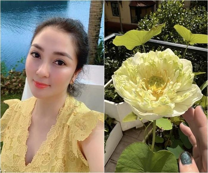 Trở về với cuộc sống bình dị, Hoa hậu Nguyễn Thị Huyền chọn cho mình lối sống an yên, dành nhiều thời gian chăm sóc nhà cửa và nuôi dưỡng sở thích trồng trọt. Mới đây, trên trang cá nhân, nàng hậu đã thu hút sự chú ý khi chia sẻ thành quả lao động đầy ngọt ngào trong khuôn viên ban công của gia đình. Những hình ảnh về các loài hoa quý nở rộ, đặc biệt là bộ sưu tập sen bách diệp mọc lên từ những chiếc chậu sứ trắng khổng lồ khiến bất cứ ai ngắm nhìn cũng phải trầm trồ về độ "mát tay" của nàng hậu.