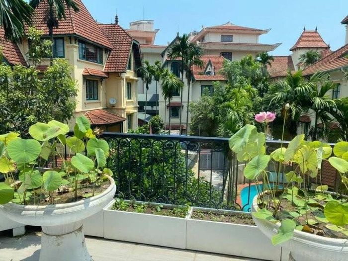 Toàn cảnh không gian ban công tầng cao lộng gió, nơi được bố trí các chậu sen dáng ly lớn kiêu hãnh vươn mình đón nắng. Từ đây có thể phóng tầm mắt ra khu biệt thự mang kiến trúc châu Âu cổ điển bao quanh bởi những tán cây xanh.