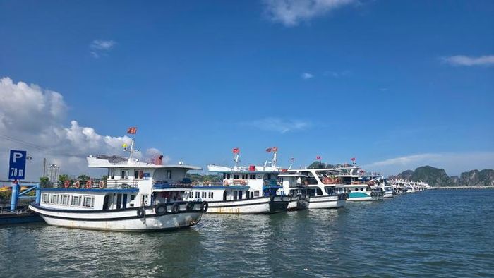 Các địa phương được yêu cầu quản lý chặt chẽ hoạt động của tàu thuyền trên biển; tổ chức kiểm đếm, thông báo kịp thời cho các chủ phương tiện, thuyền trưởng về vị trí an toàn. Ảnh: Tiến Sinh