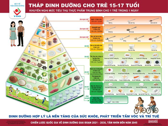 Tháp dinh dưỡng cho trẻ từ 15-17 tuổi. Nguồn: Viện Dinh dưỡng