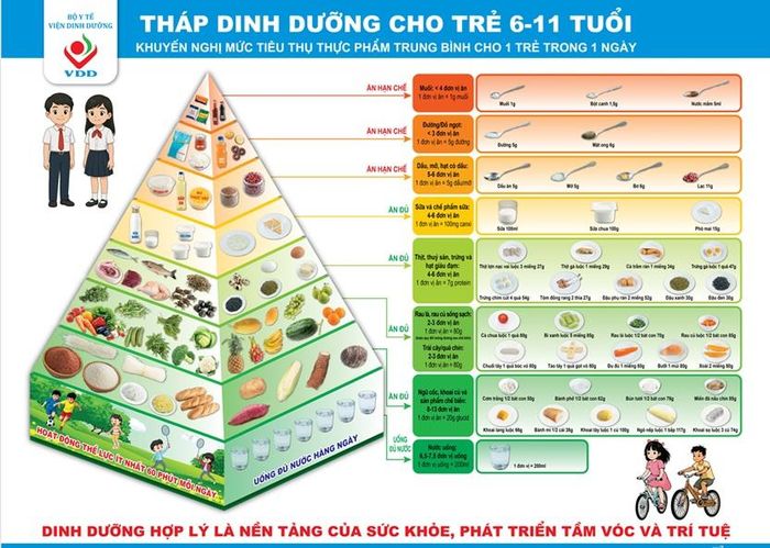 Tháp dinh dưỡng cho trẻ tử 6-11 tuổi. Nguồn: Viện Dinh dưỡng