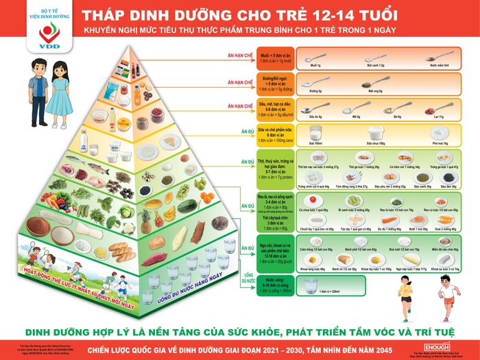 Tháp dinh dưỡng cho trẻ từ 12-14 tuổi. Nguồn: Viện Dinh dưỡng
